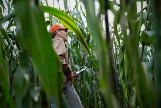 Cinema per ragazzi e agricoltura. Bayer sostiene il Giffoni Film Festival dedicato alla Terra