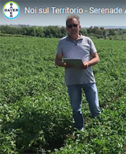 Visita virtuale alle prove in campo. Con Bayer Crop Science Italia in modalità smart