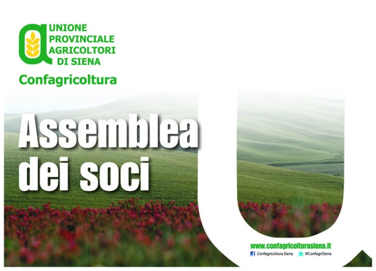 Assemblea dei soci.  Upa Siena, elezione del consiglio direttivo e bilancio 2019 all’ordine del giorno