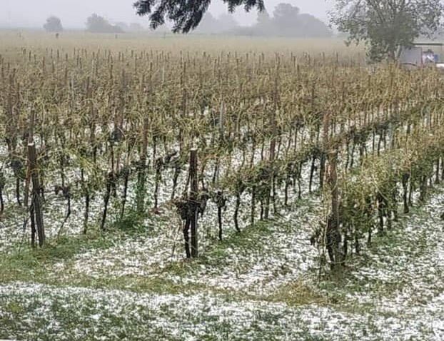 Meteo, Cai chiede Tavolo istituzionale. Agromeccanici subiscono danni indiretti per mancati lavori eseguiti