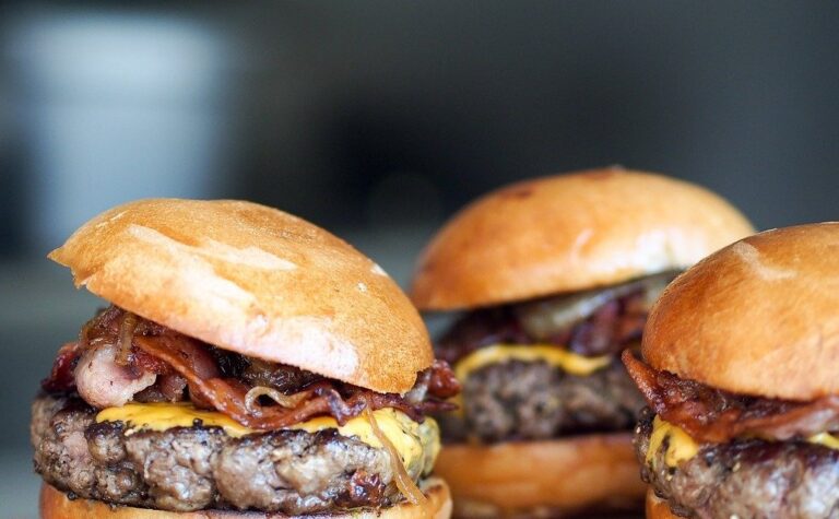 Pilatesco. Il Parlamento europeo non decide e salva l’hamburger vegano