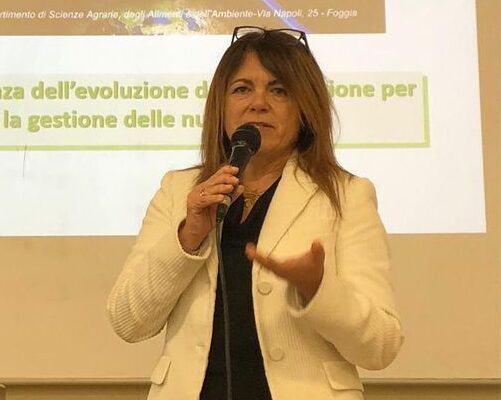 Danni da calamità naturali. Il CONAF (Agronomi e Forestali) assume presidenza comitato interprofessionale