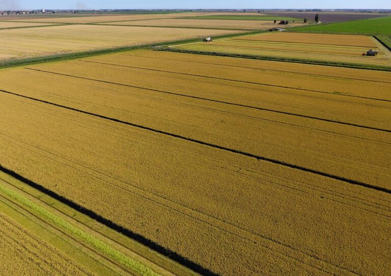 Bonifiche Ferraresi. Approvato investimento da 120 mln euro nel Fondo Italiano Agritech & Food