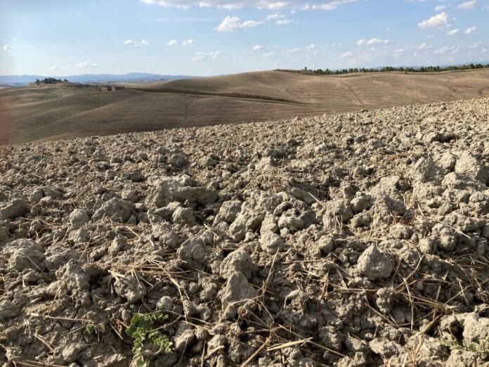 campagna toscana