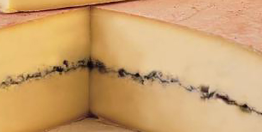 Formaggio Morbier DOP. Il diritto dell’Unione vieta la riproduzione della forma o dell’aspetto di un prodotto protetto da DOP