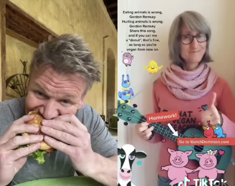 Vera carne. Chef Gordon Ramsay risponde alla provocazione di influencer vegana e addenta un hamburger di manzo VIDEO