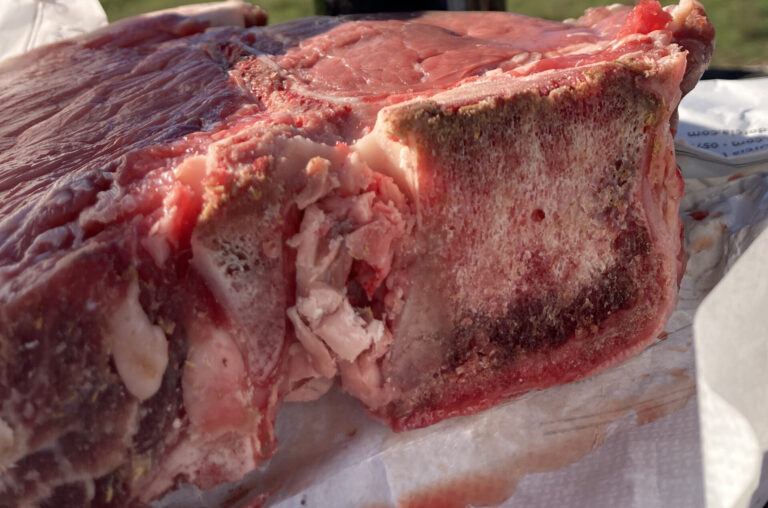 La patria della Fiorentina dice no alla carne sintetica