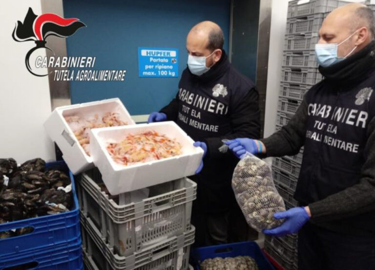 Sicurezza alimentare. Controlli di fine anno: Carabinieri sequestrano 84 tonnellate di alimenti e 2 denunce