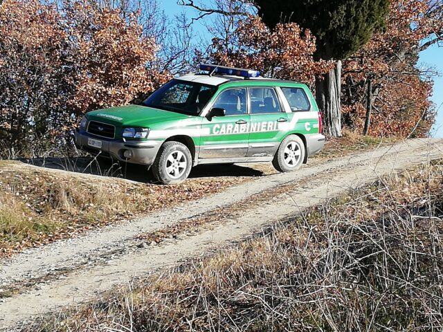 Sottoscritta convenzione fra Carabinieri Forestali e Collegio nazionale Agrotecnici