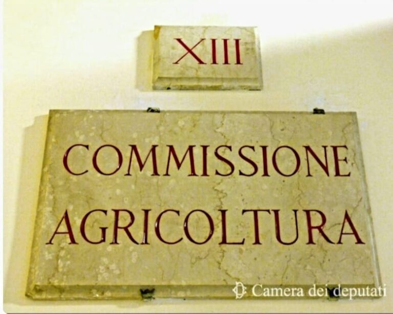 Terremoto in Commissione Agricoltura Camera dopo la scissione Di Maio – Conte. Gallinella (e altri 8 ) su 12 vanno con IpF