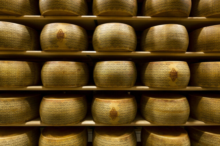 CREA. Dalle analisi del DNA l’arma per difendere i formaggi di eccellenza da imitazioni e adulterazioni