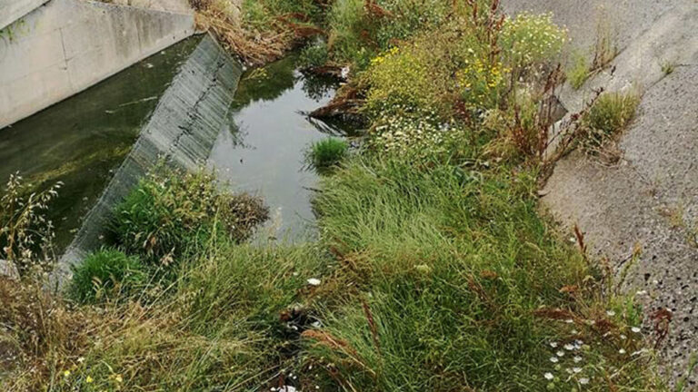 L’allarme Cia: acqua per l’agricoltura della Puglia, così non va