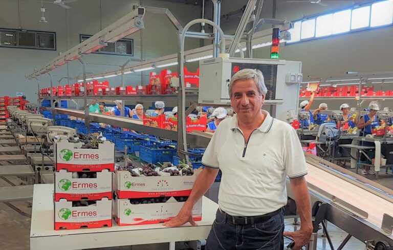 Export 2020, uva da tavola cresce in quantità e valore. Suglia (Apeo): “Riconoscimento alla lungimiranza delle imprese”