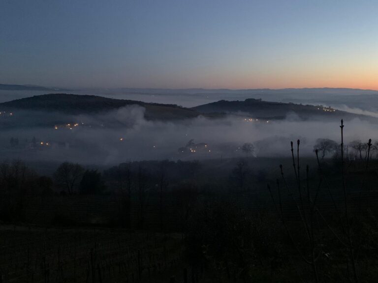 Gelate notturne a Montalcino, i produttori di Brunello corrono ai ripari