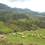 Bassa Valle del Coghinas