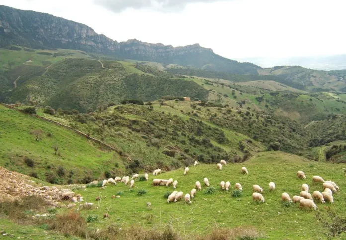 Bassa Valle del Coghinas