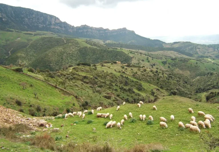 Bassa Valle del Coghinas