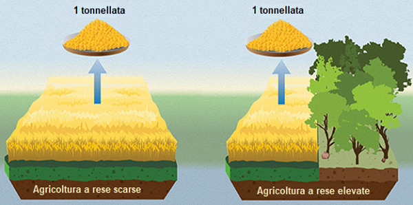 Con agricoltura a basse rese (dal 20 al 70%) addio alle foreste. Così Europa non autosufficiente per produzione cibo