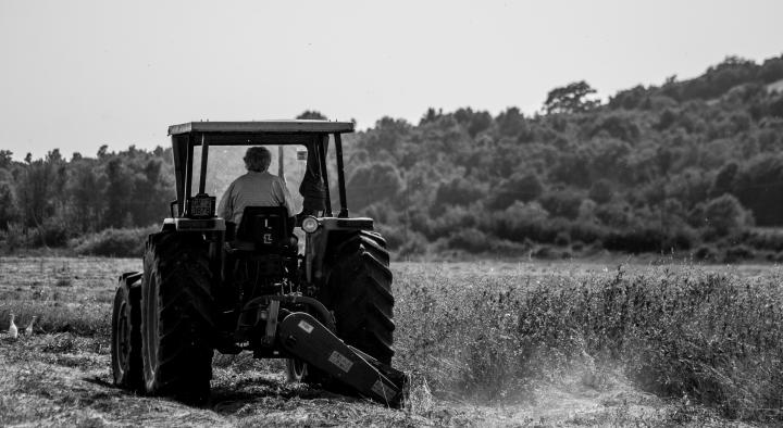 Venti anni di Terre dell’Etruria. La storia della cooperazione per nuovo slancio all’agricoltura