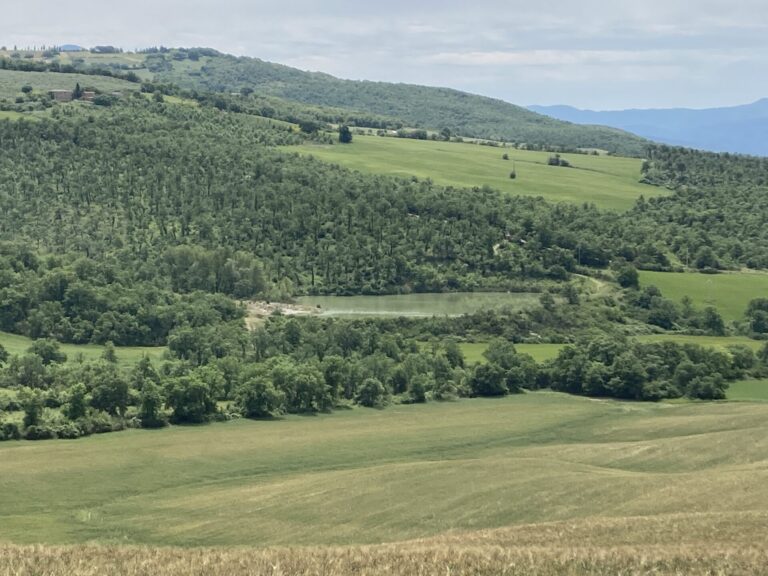 PAC. Fieragricola accende i riflettori, ma per il mondo agricolo ci sono molte ombre sulla politica europea