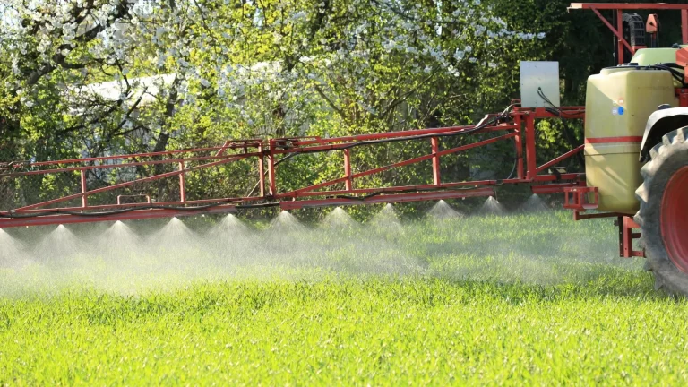 Residui di pesticidi negli alimenti: nell’UE il 99% dei campioni è conforme a legislazione