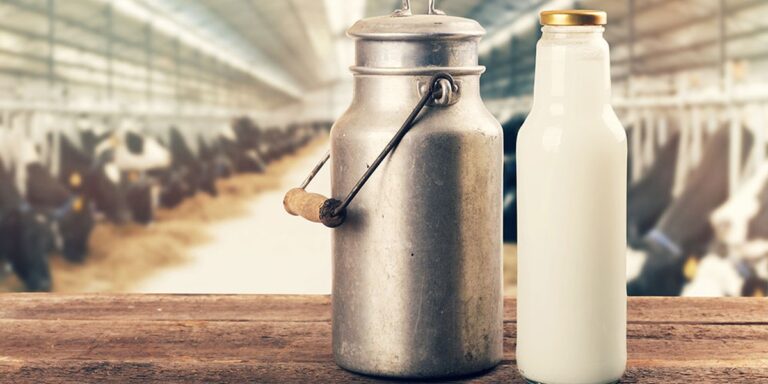 Zootecnia. Copagri Lombardia, domani allevatori in piazza a Brescia e Milano contro quote latte