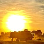 cai consorzi agrari