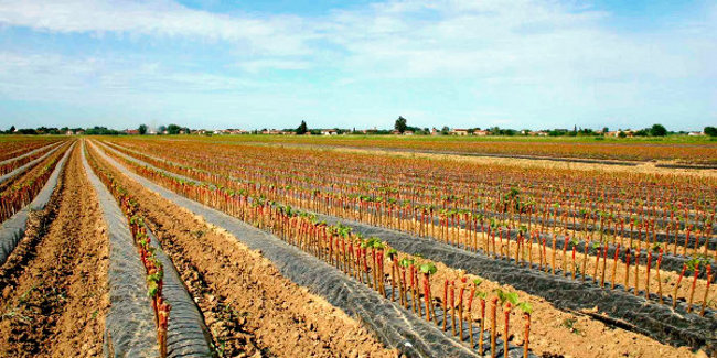 Ripresa economica, la sfida è adesso. Esperti, politici e istituzioni a convegno con Upa Siena