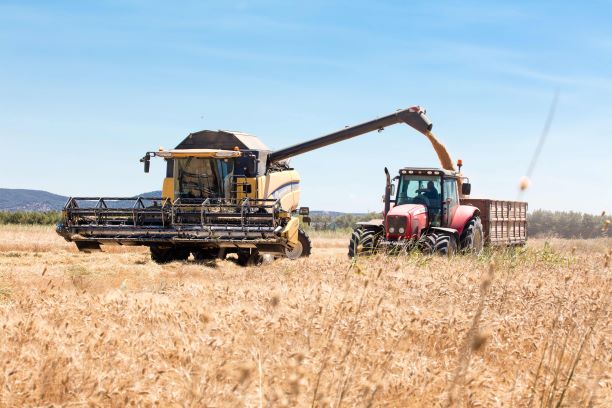 Seminativi. Romacereali: le aspettative produttive e i mercati internazionali