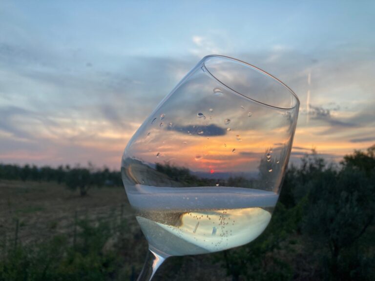 Prosecco. Nomisma: in Italia il 28% dei consumatori lo sceglie biologico e sostenibile
