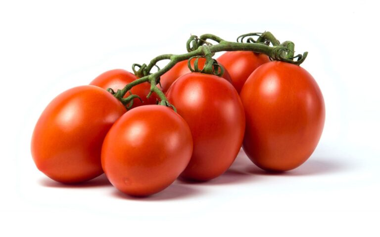 H2Orto – Bontà sostenibile. La gamma di pomodori e altri ortaggi di alta qualità di Fri-El Green House