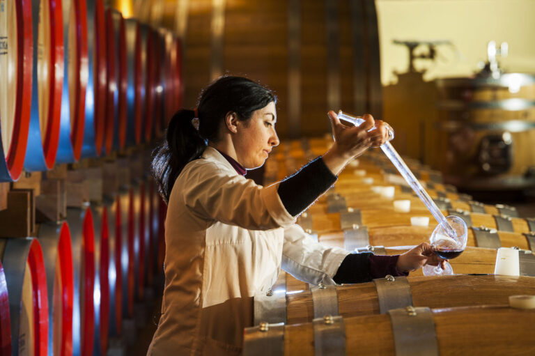 La vendemmia 2021 regala vini siciliani di grande intensità e profili aromatici