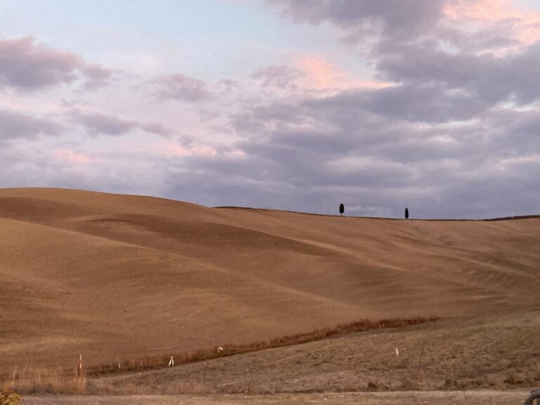 Approvata la legge di Bilancio: 2 miliardi per l’agricoltura. Le novità: gestione del rischio, agevolazioni fiscali e tributarie, fondi e misure sostegni