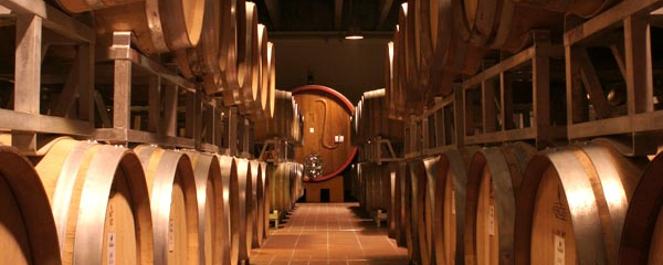 Vino. Cantine di Verona sempre più sostenibile con l’ingresso nel “Progetto Qualità” di Cantine di Custoza