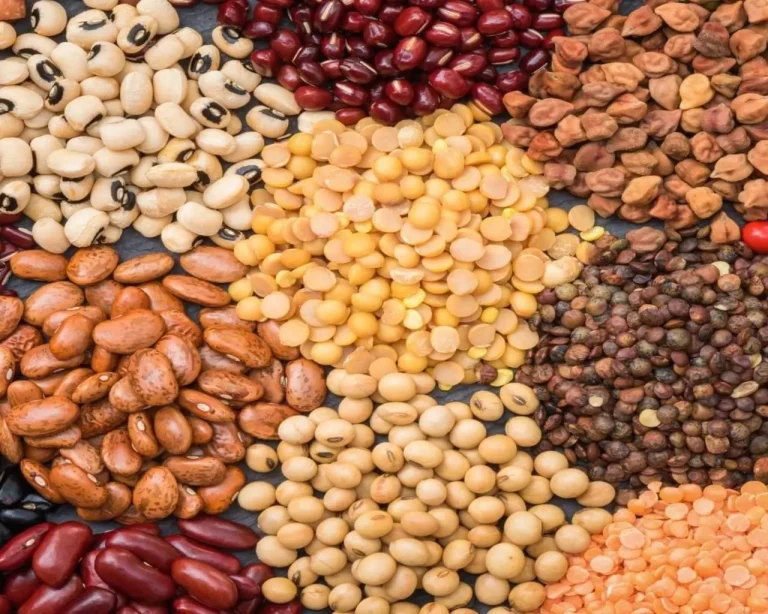 In Toscana meno grano duro, vincono farro, legumi e frumenti antichi