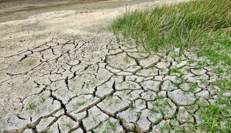 Siccità. Serve un tavolo tecnico preventivo per Copagri Lombardia