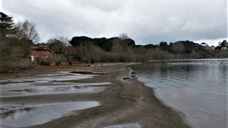 Siccità. Confagricoltura, dichiarare lo stato di calamità e procedere con interventi rapidi