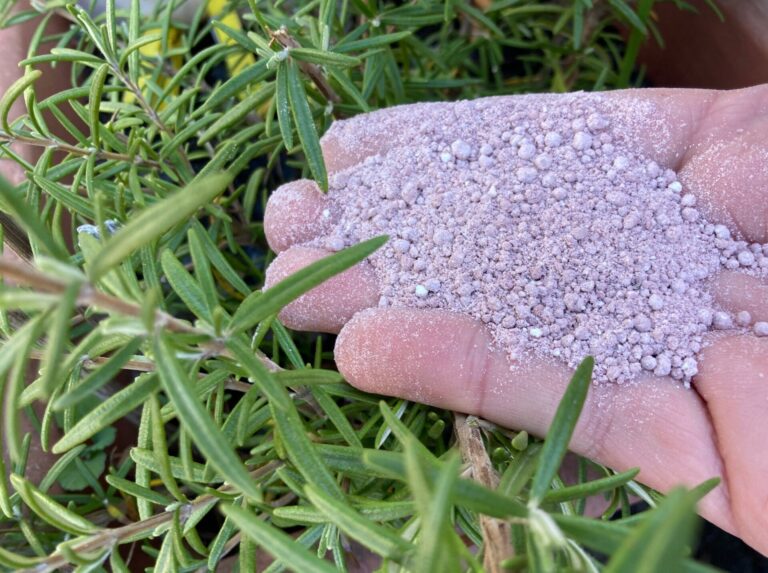 Stati Uniti indipendenti sui fertilizzanti. Governo investe 250 milioni di dollari per produzione autonoma e calmierare prezzi