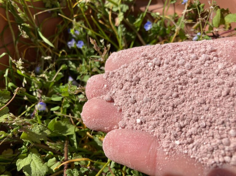 Energia. CAI: con l’agricoltura di precisione si riduce del 25% il costo dei fertilizzanti