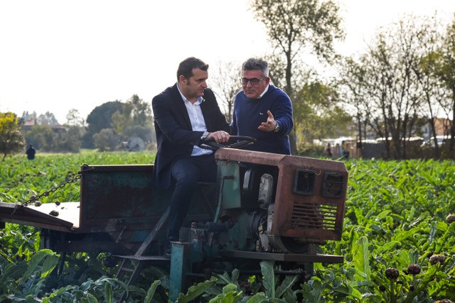 Carciofo Paestum IGP. Centinaio: eccellenza italiana da promuovere  all'estero