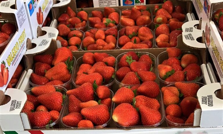Fragole fino a 5 euro/Kg e pesche a 2,30 euro/Kg. Positivo il report della Borsa della Spesa