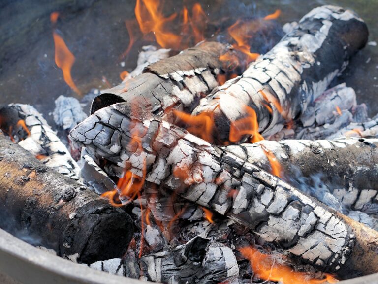 Brace e barbecue. Il tipo di legna da ardere cambia il gusto della carne. Ricerca: faggio e corbezzolo i preferiti dalle consumatrici (63%)
