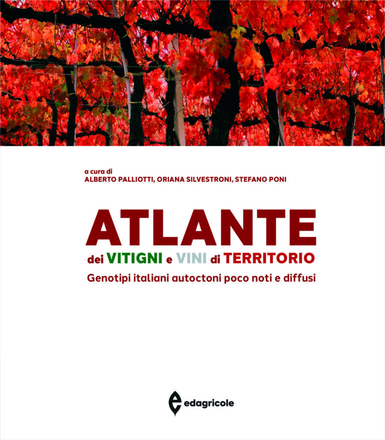 Atlante dei vitigni e vini di territorio. Genotipi italiani autoctoni poco noti e diffusi