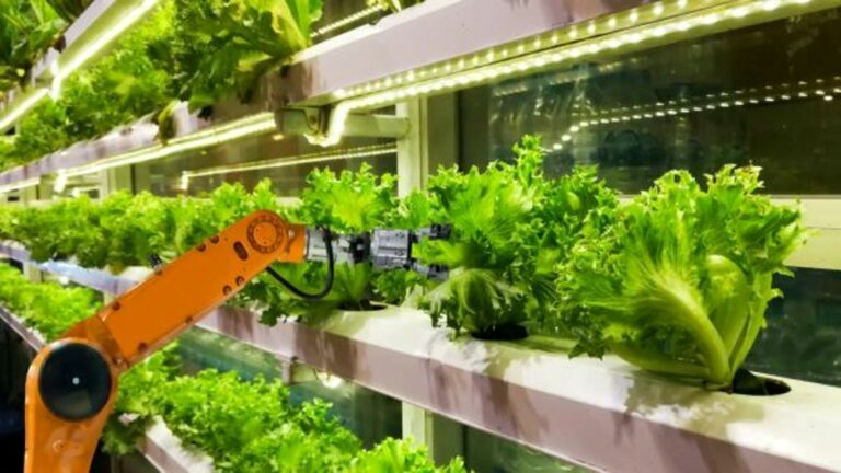 AI: investimenti in forte crescita, ma l’Europa è in ritardo rispetto a Usa e Cina. In Italia il mercato è arrivato a 710 milioni di euro