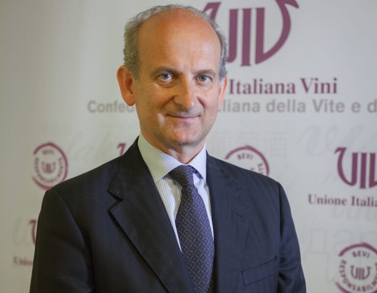 Vino. Anche Unione italiana vini contro le etichette irlandesi