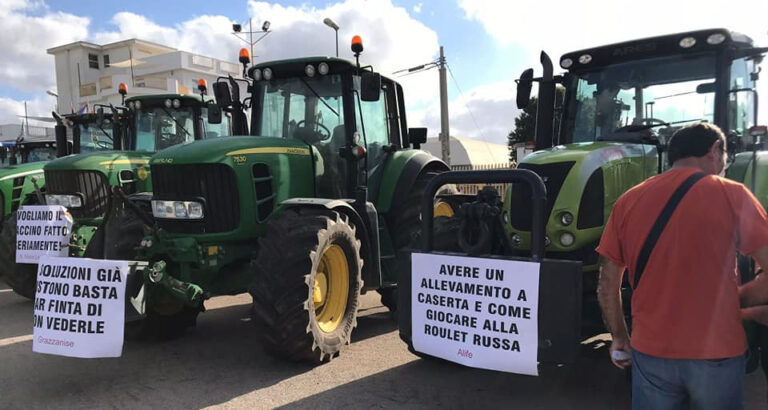 Coordinamento bufalino: ‘Sono mesi che chiediamo il Commissariamento. La Regione Campania lo annuncia ma per fare cosa?’