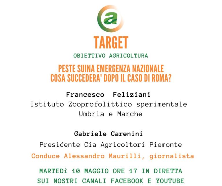 Target. Peste suina emergenza nazionale. Cosa succede dopo il caso di Roma? Martedì 10 maggio