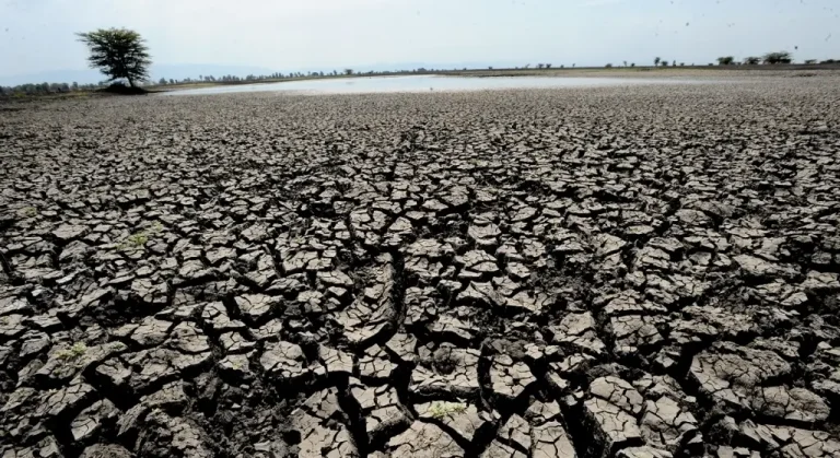 Siccità in agricoltura Sicilia: Non si abbassi la guardia, non  è emergenza ma la situazione resta critica  