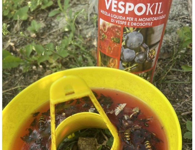 Intrappola la mosca ma non solo! Le novità 2022 da Badi Farm