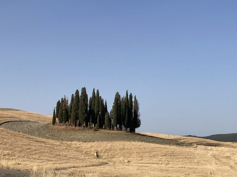 Non siamo quadri, produciamo ricchezza. Nasce l’Associazione dei Paesaggi Rurali di Interesse Storico